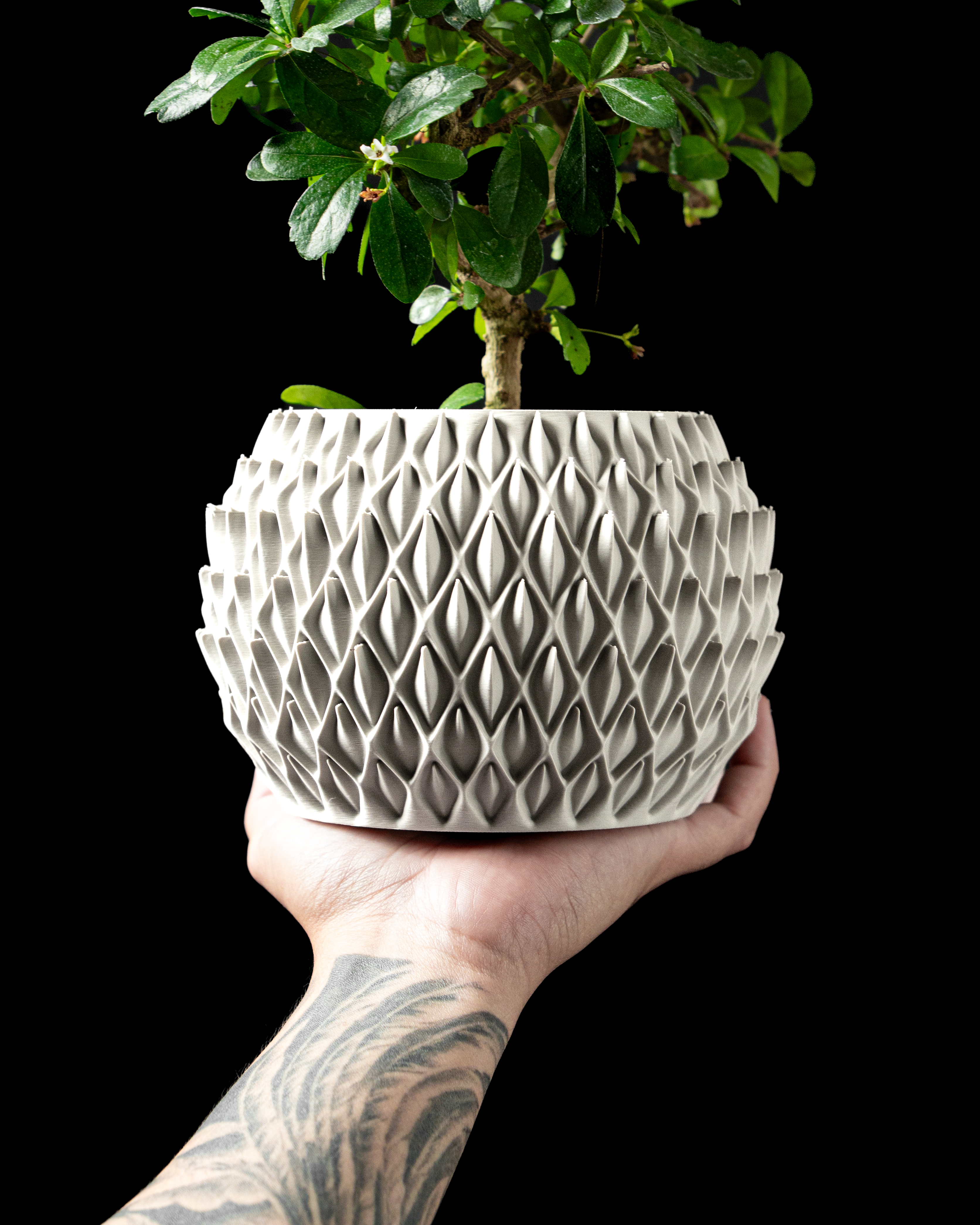 Petal Planter Pot – Modern 3D Printed Planter