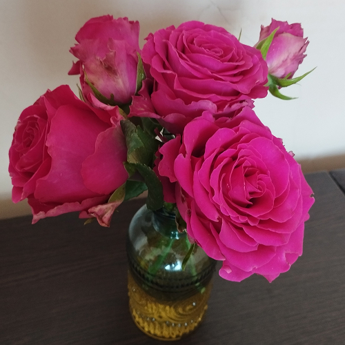 Шакіра (Shakira)