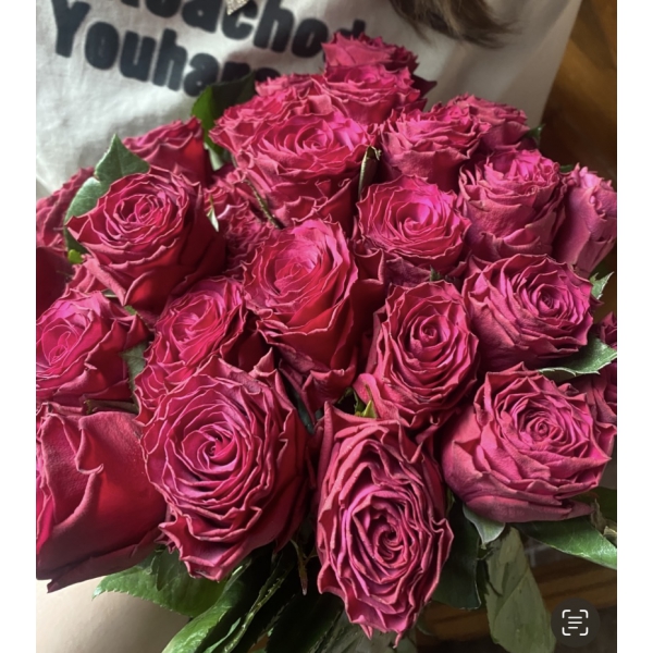 Вентурозо (ч/г) — Venturoso