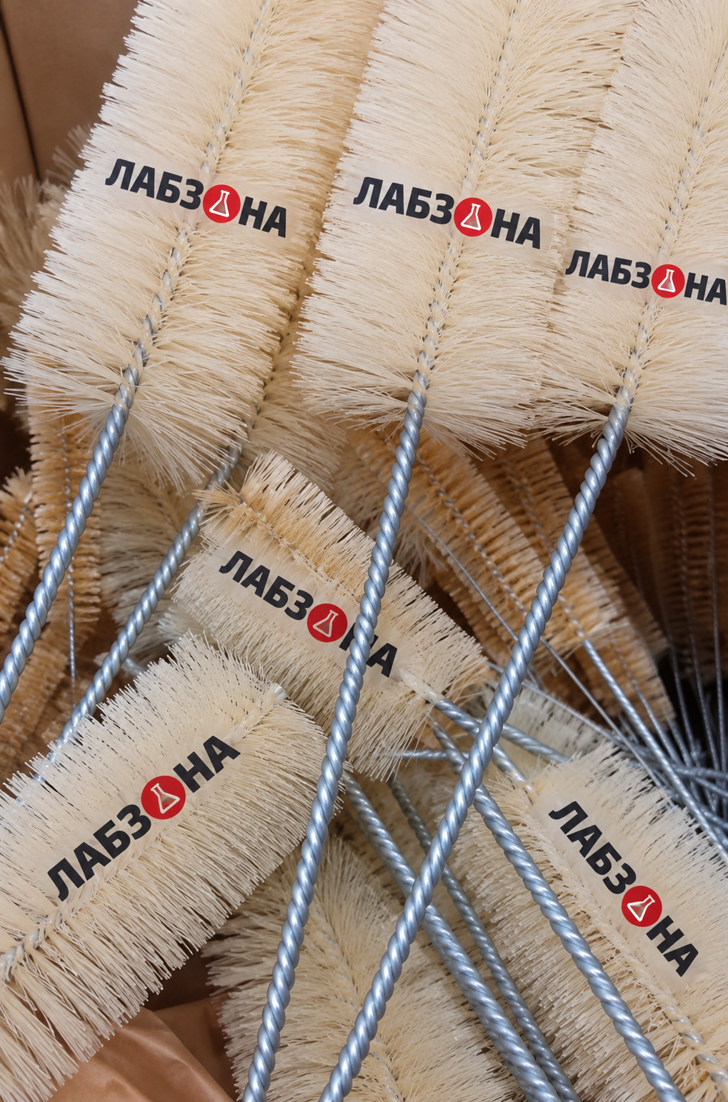 Йоржики лабораторні