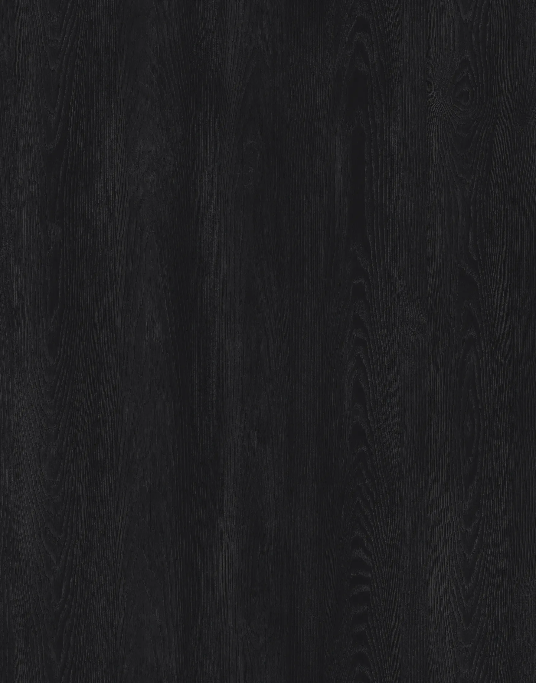 Каштан Арвадонна Вугільний