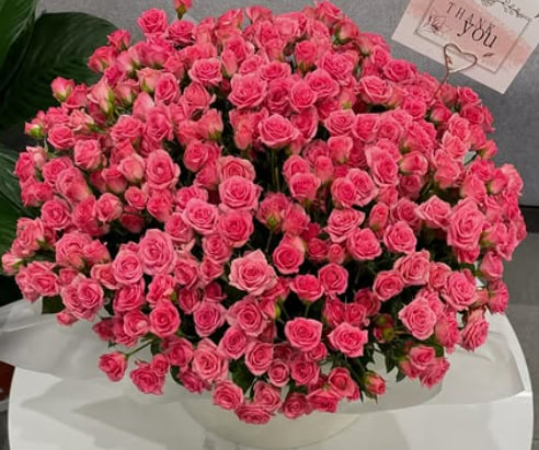 Композиція із кущової троянди