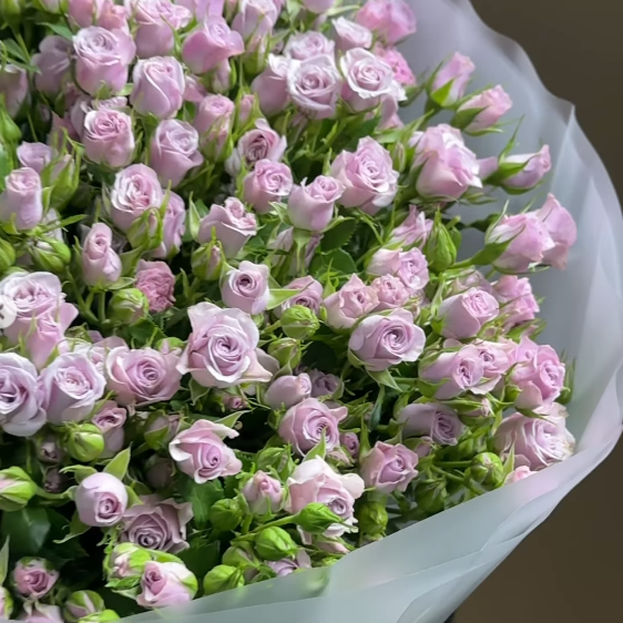 Левендер Квін — LAVENDER QUEEN