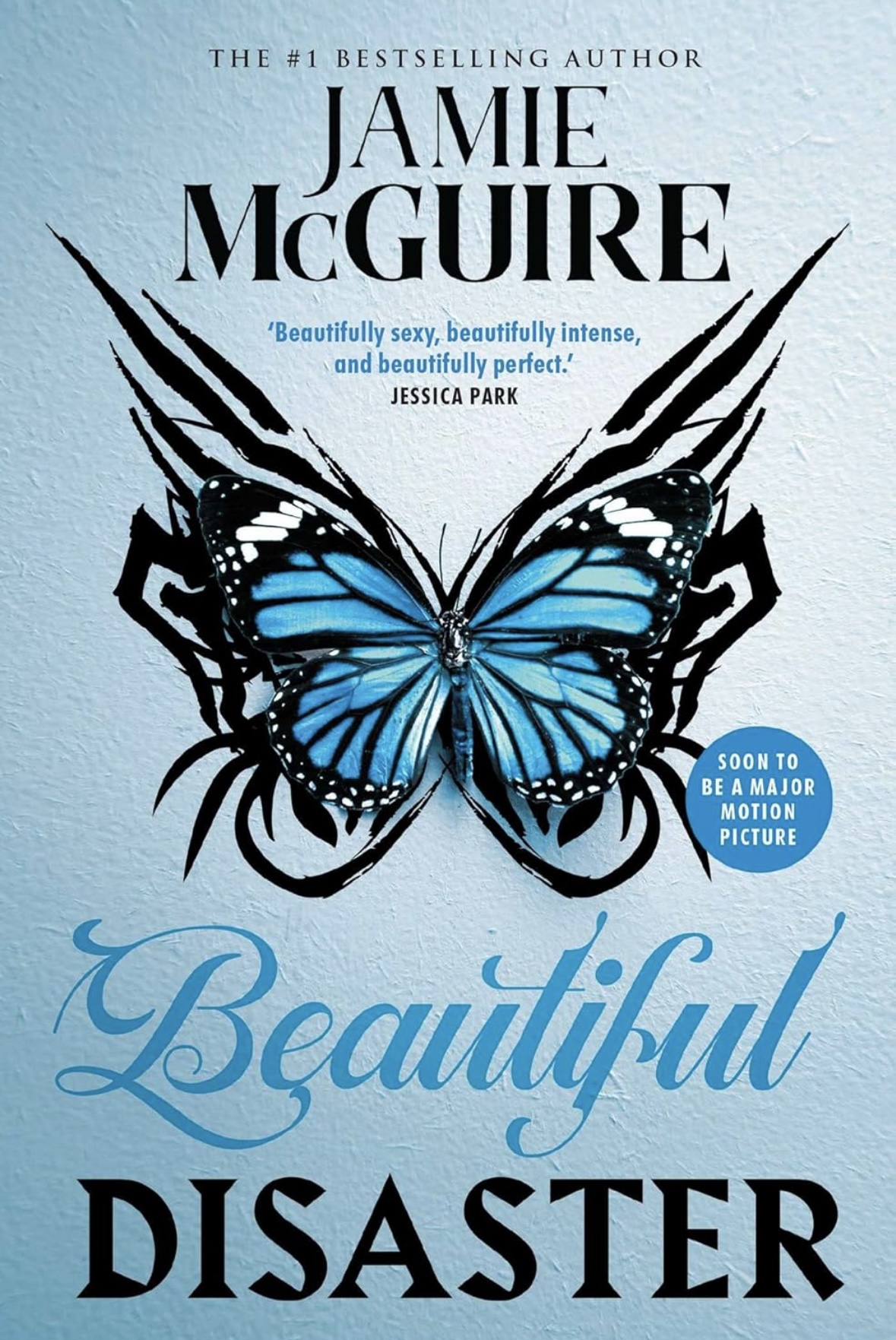 Beautiful Disaster (BEAUTIFUL SERIES)  Jamie McGuire book 1