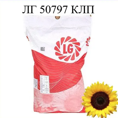 Насіння соняшнику ЛГ 50797 КЛП Limagrain, насіння високоврожайного соняшнику Лімагрейн