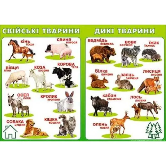 Плакат Домашні тварини
