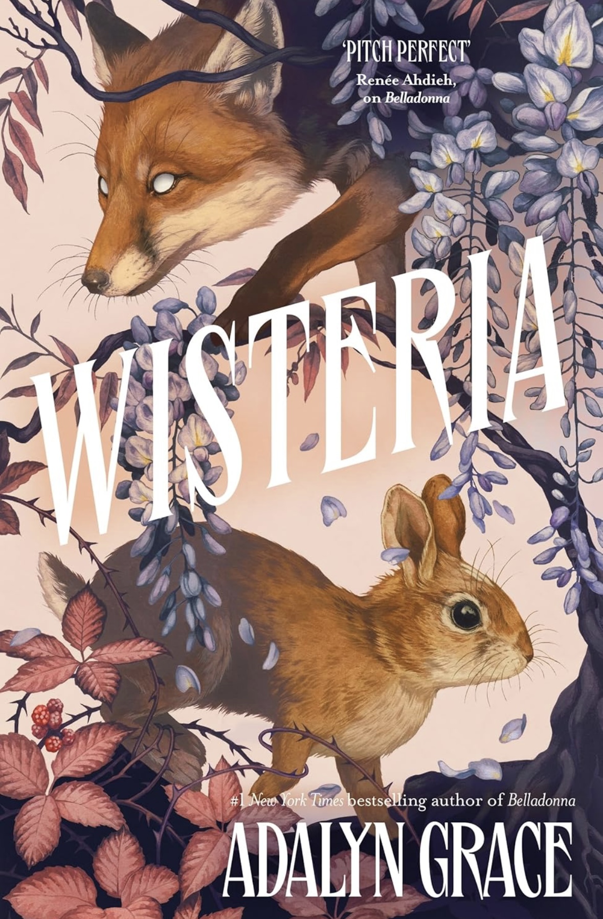Wisteria Adalyn Grace