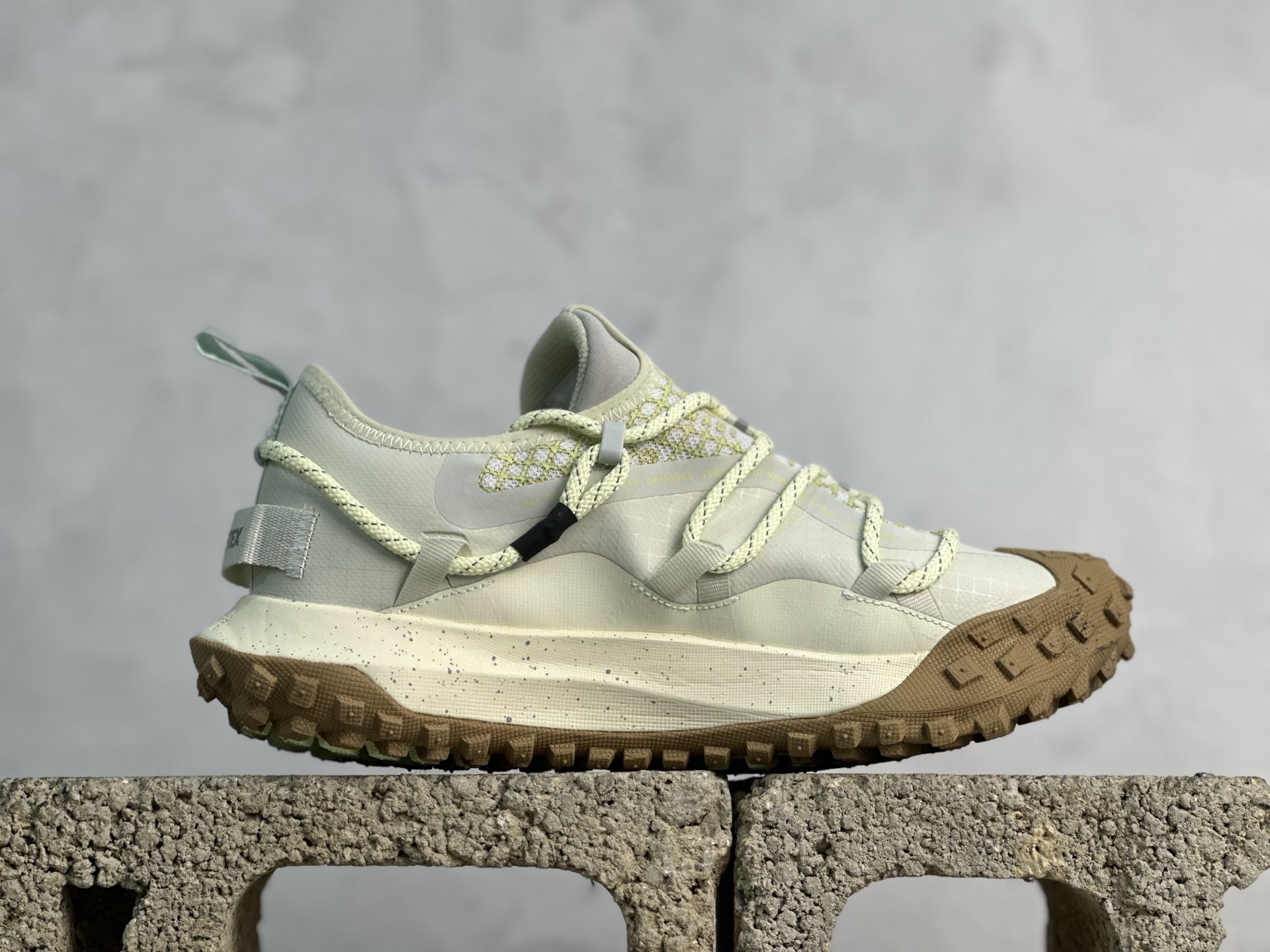 Nike ACG Mountain Fly Low GTX SE Outdoor DD2861-002
