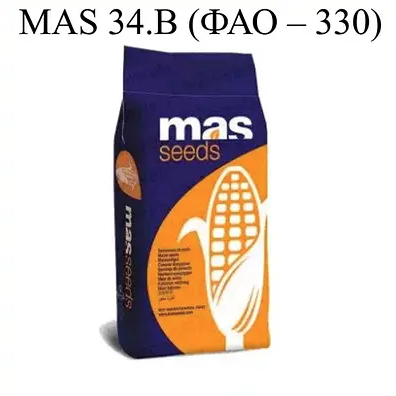 Насіння кукурудзи MAS 34.B Майсадур ФАО 330 Кукурудза високої врожайності