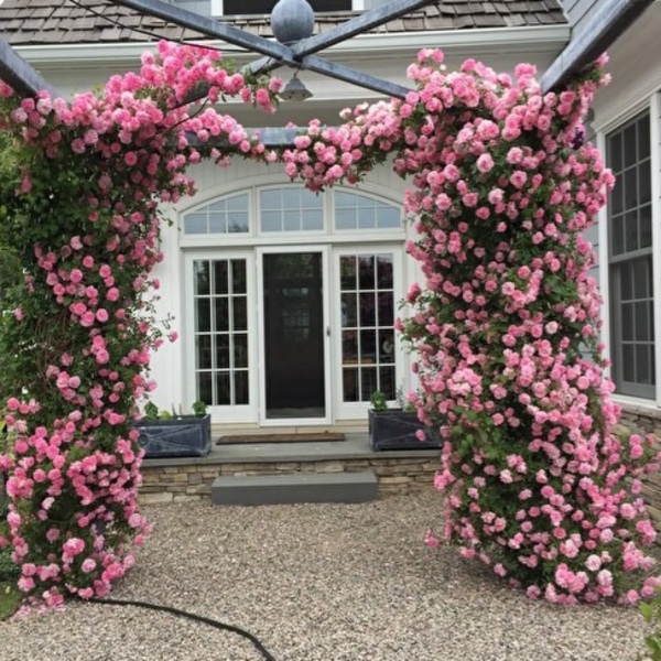 Джон Девіс (John Davis)