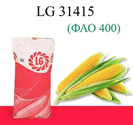 Насіння кукурудзи LG 31415 Limagrain ФАО 400 Кукурудза високої врожайності