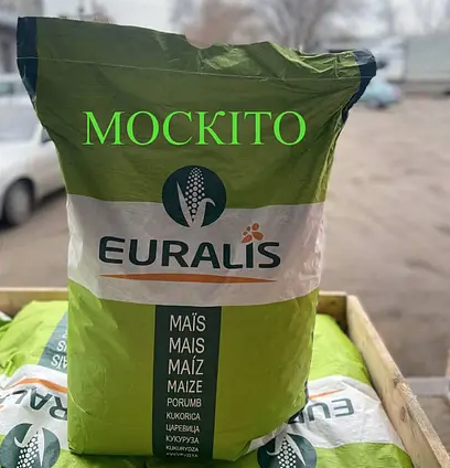 Насіння кукурудзи гібрид ЄС Москіто ФАО 350 Кукурудза високої врожайності