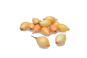 Цибуля-сіянка "Сеттон" (Setton) TOP ONION