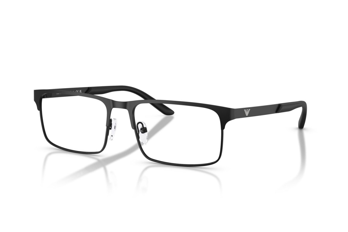 EMPORIO ARMANI  EA 1170 3001 53