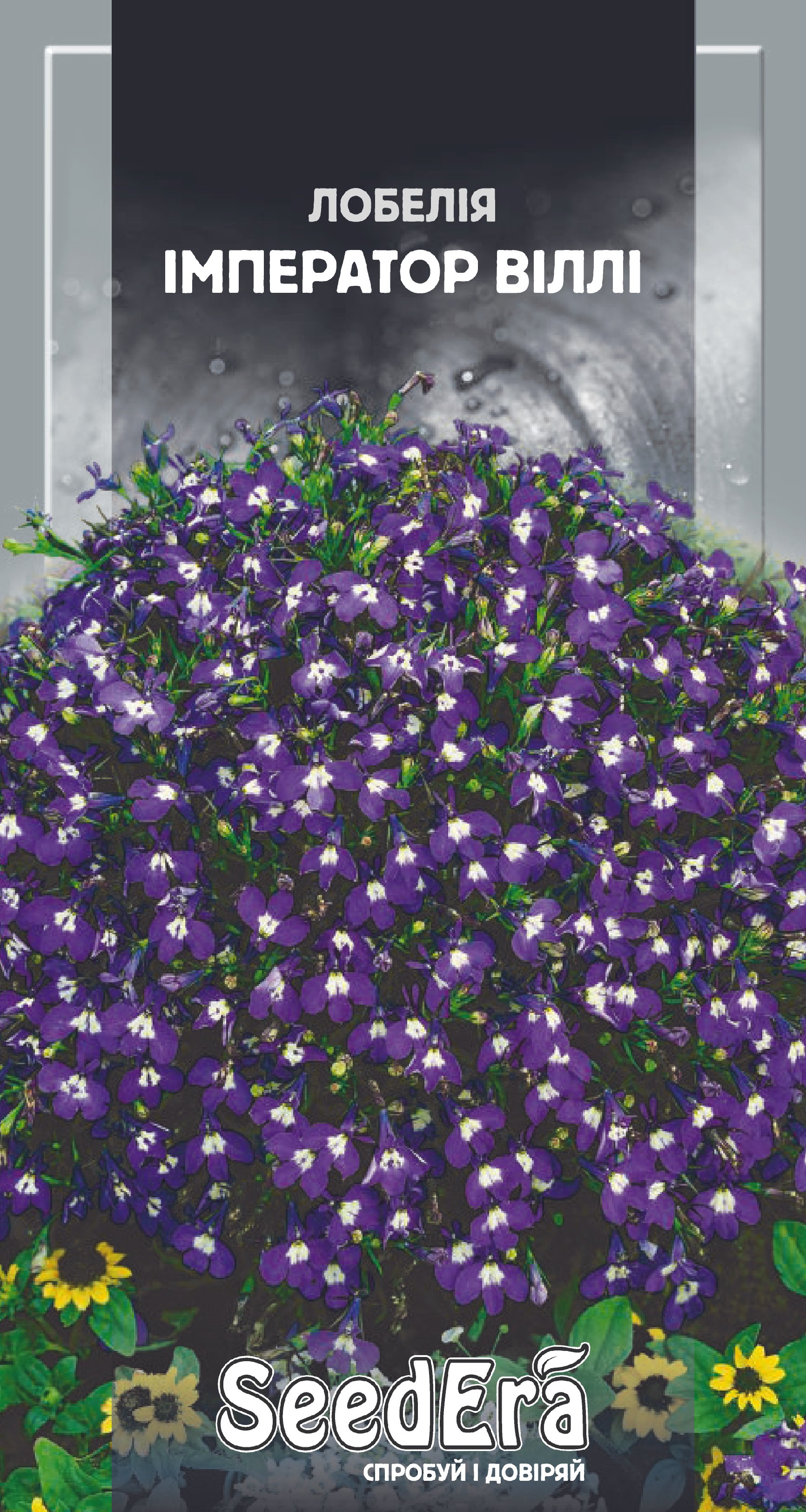 Насіння Квіти Лобелія Імператор Віллі, 0,1 г