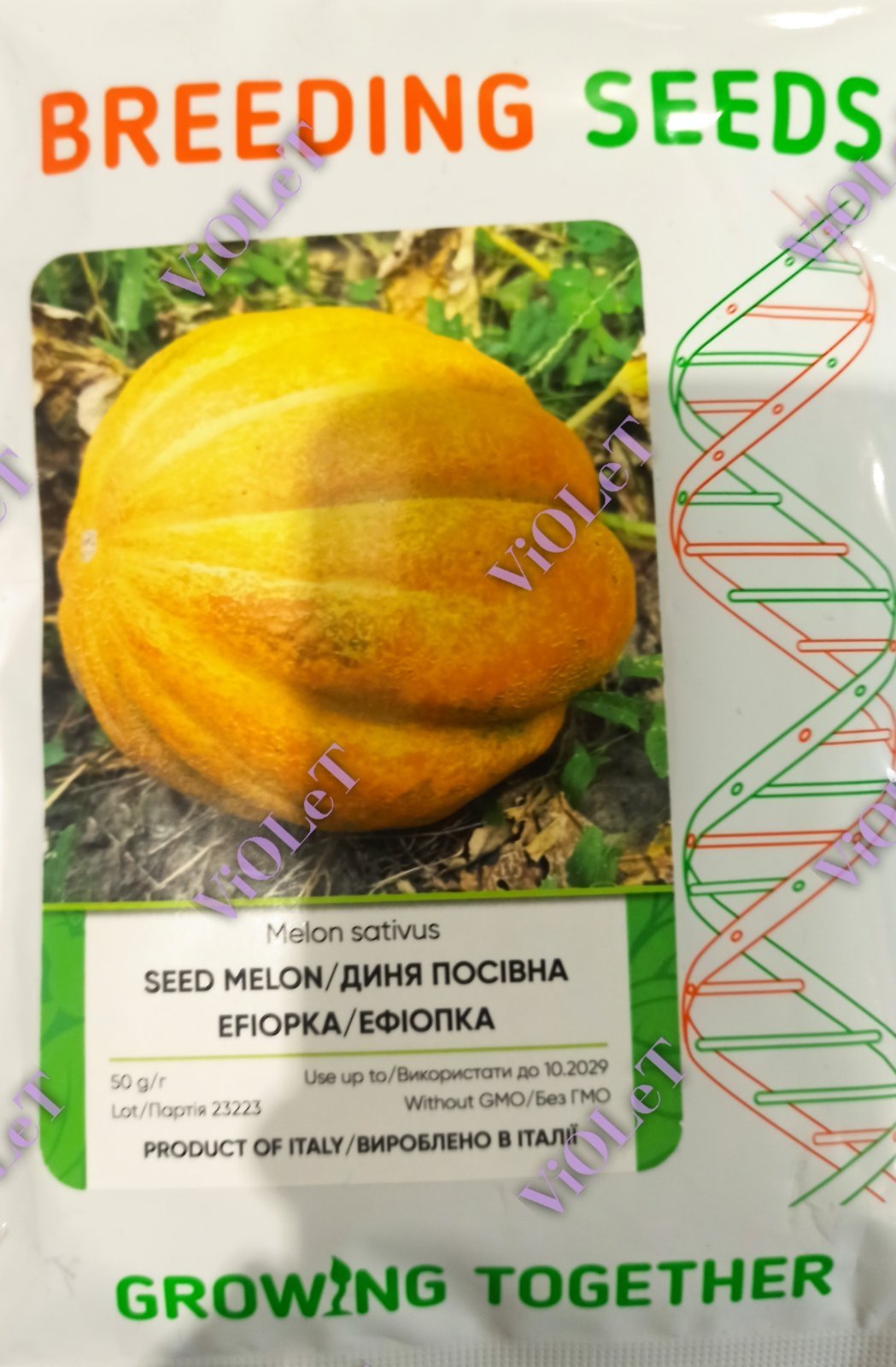 Диня Ефіопка середньорання,  Breeding Seed
