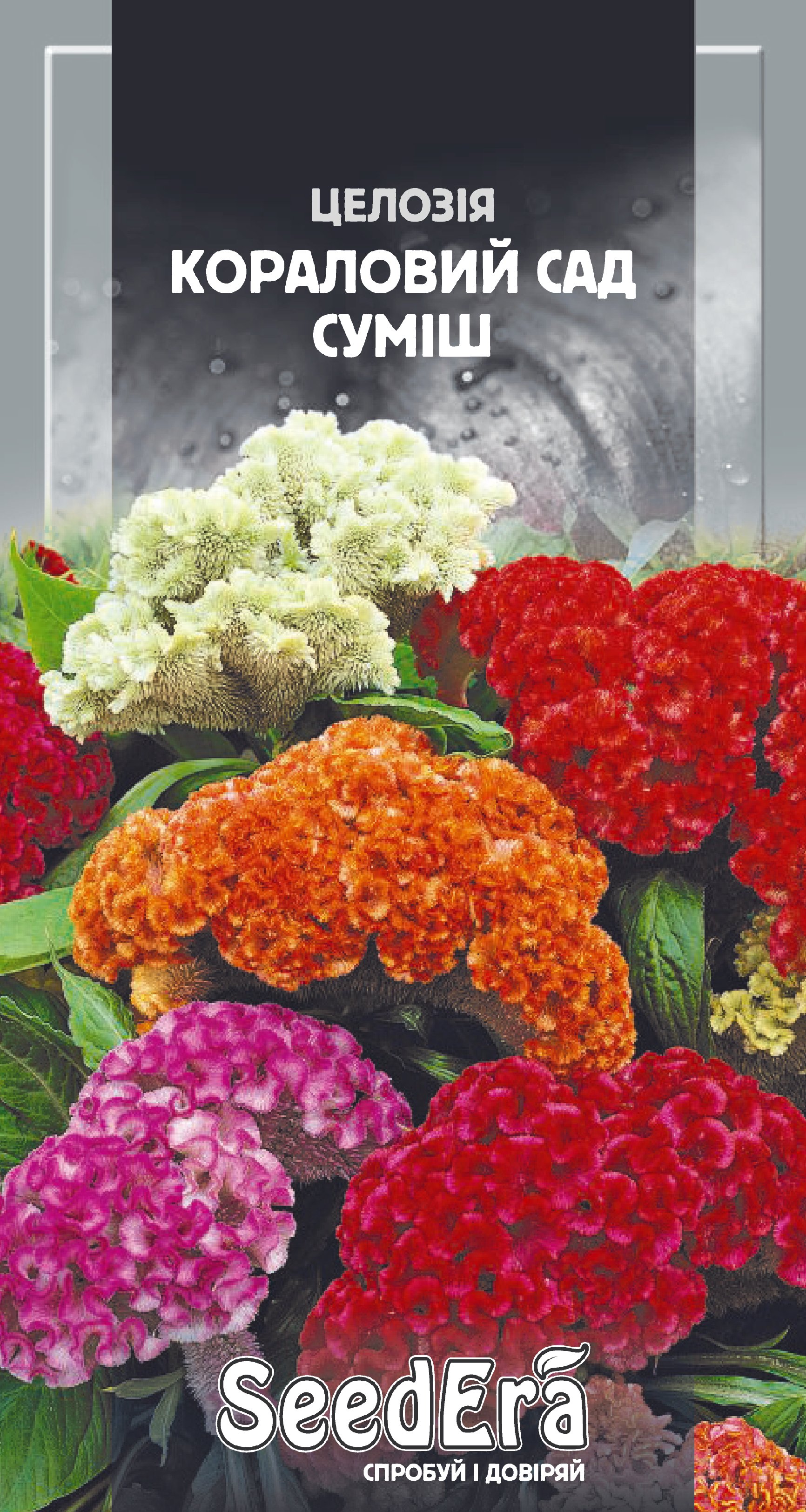 Насіння Квіти Целозія гребінчаста Кораловий Сад суміш, 0,2 г