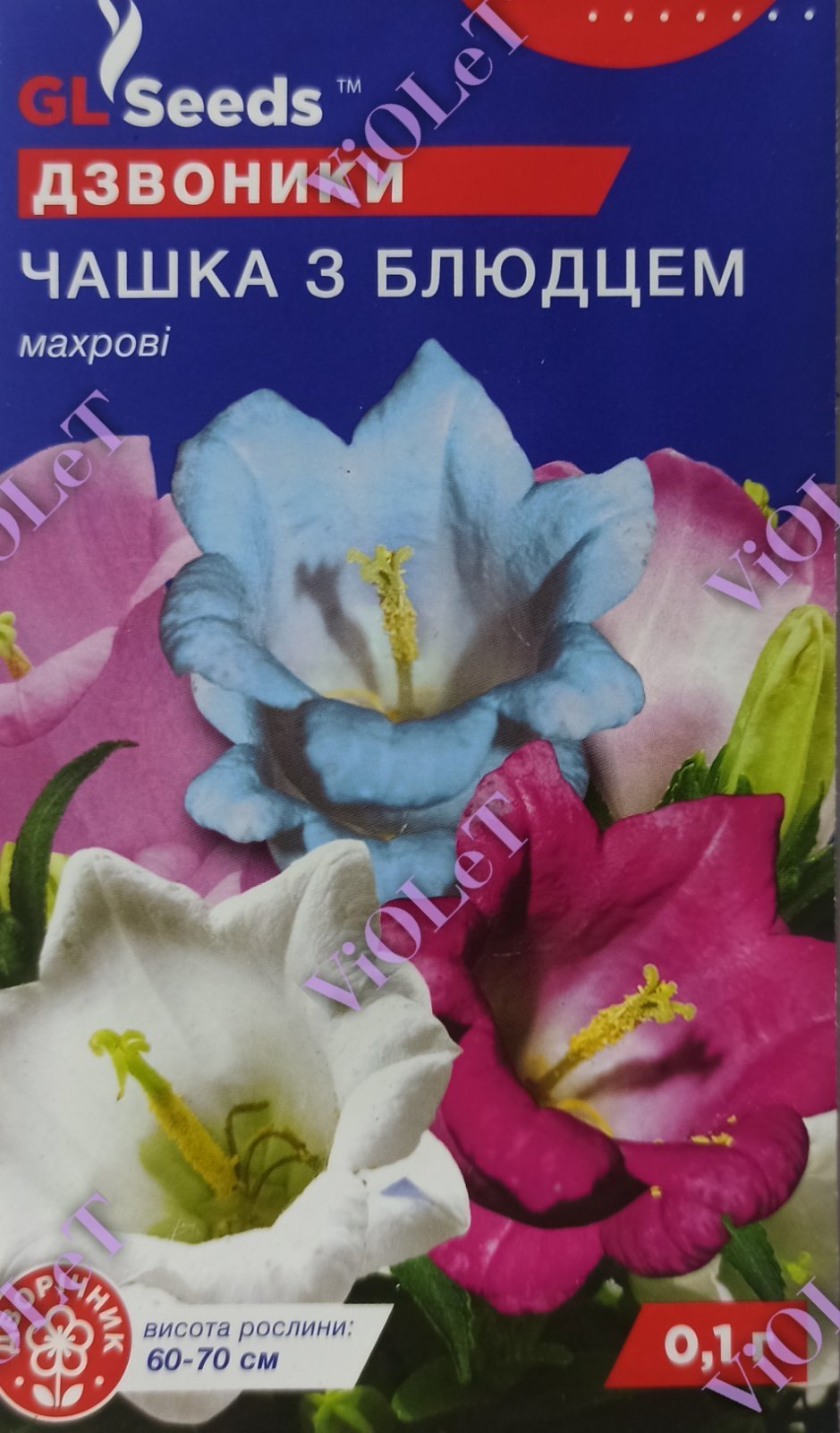 Дзвоники Чашка з Блюдцем махрові, 0,1 г GL Seeds