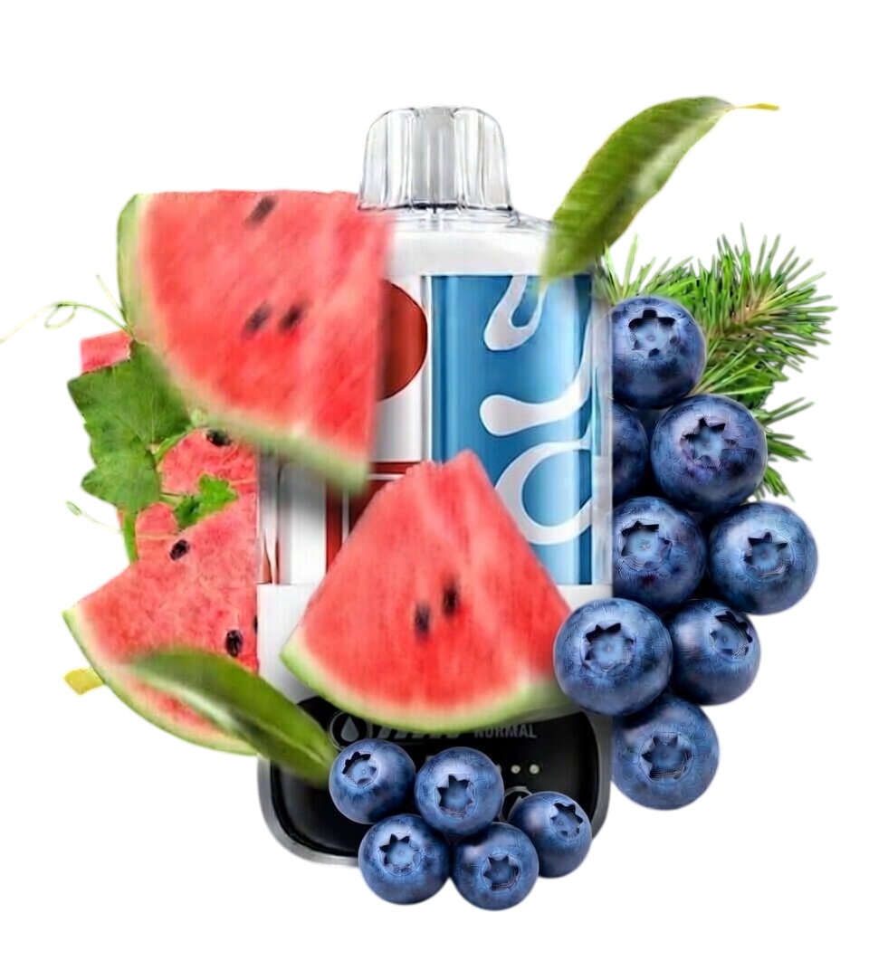 Ельф COMBO PRO 30000 Кавун Лід & Чорниця від Elfbar - ELFBAR COMBO PRO 30000 | Купити в Україні |...