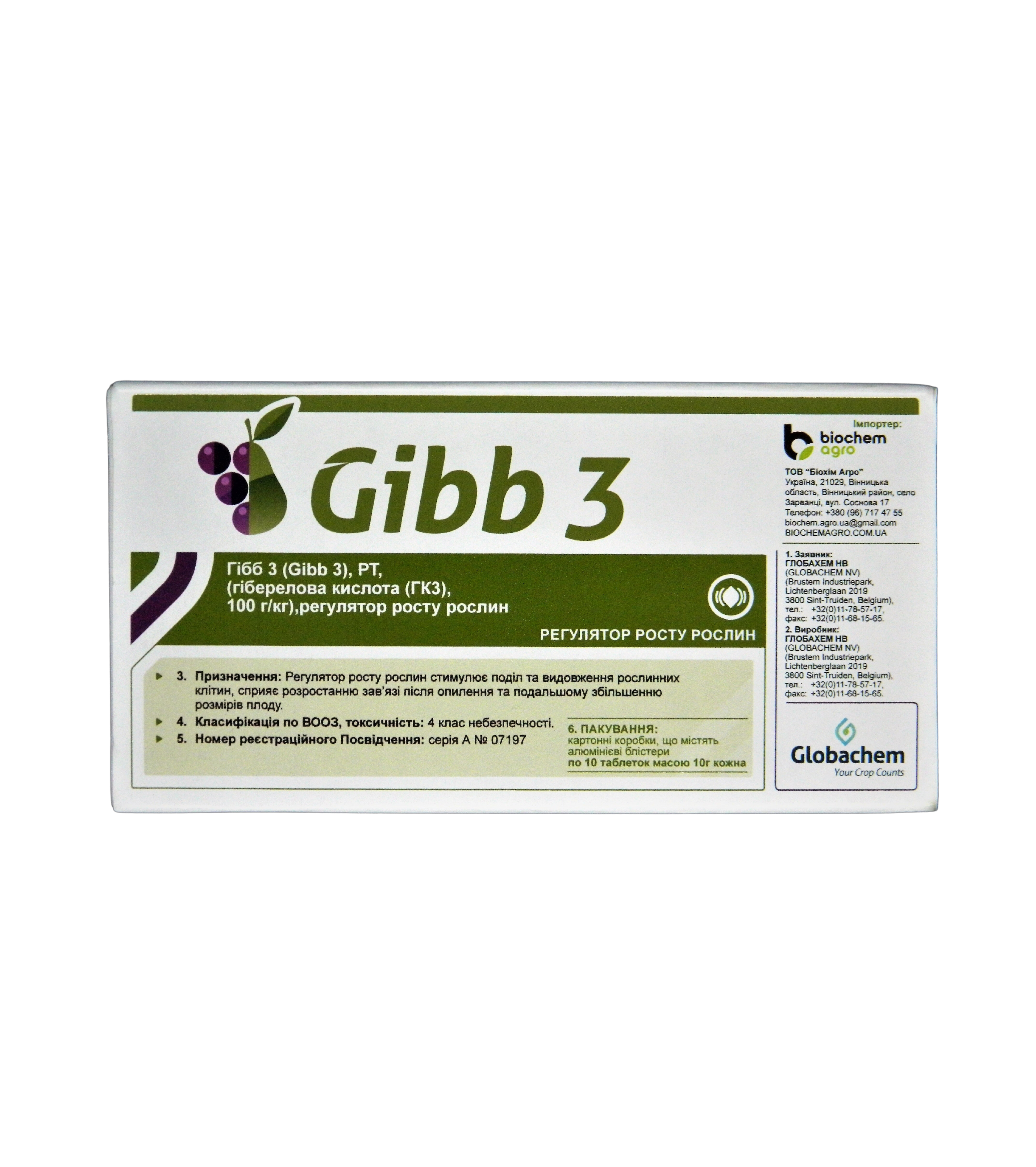 GIBB 3