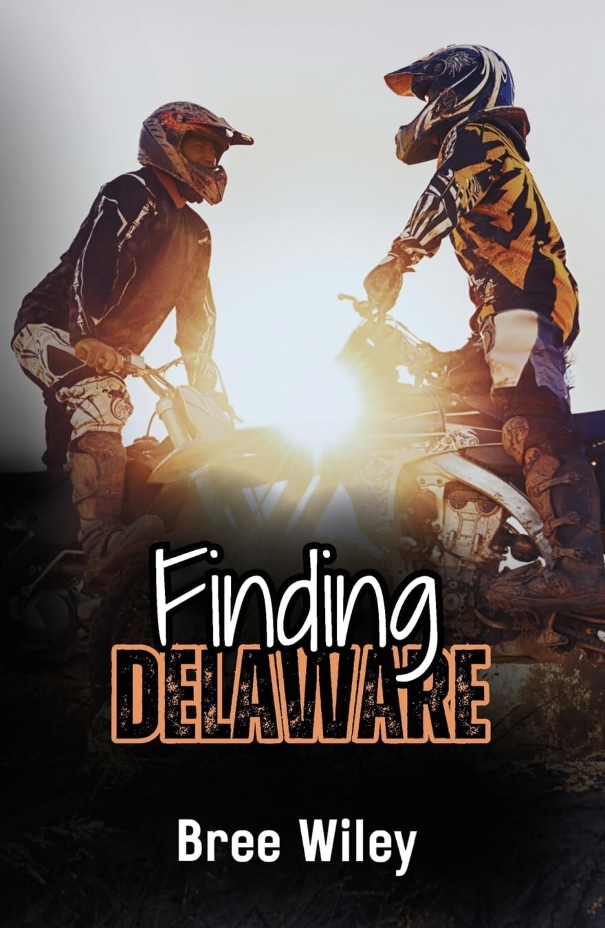 Finding Delaware (State of Us) Bree Wiley
