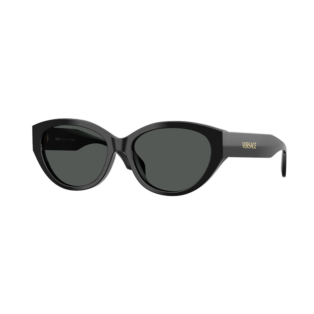 Окуляри сонцезахисні Versace VE 4495D GB1/87 56