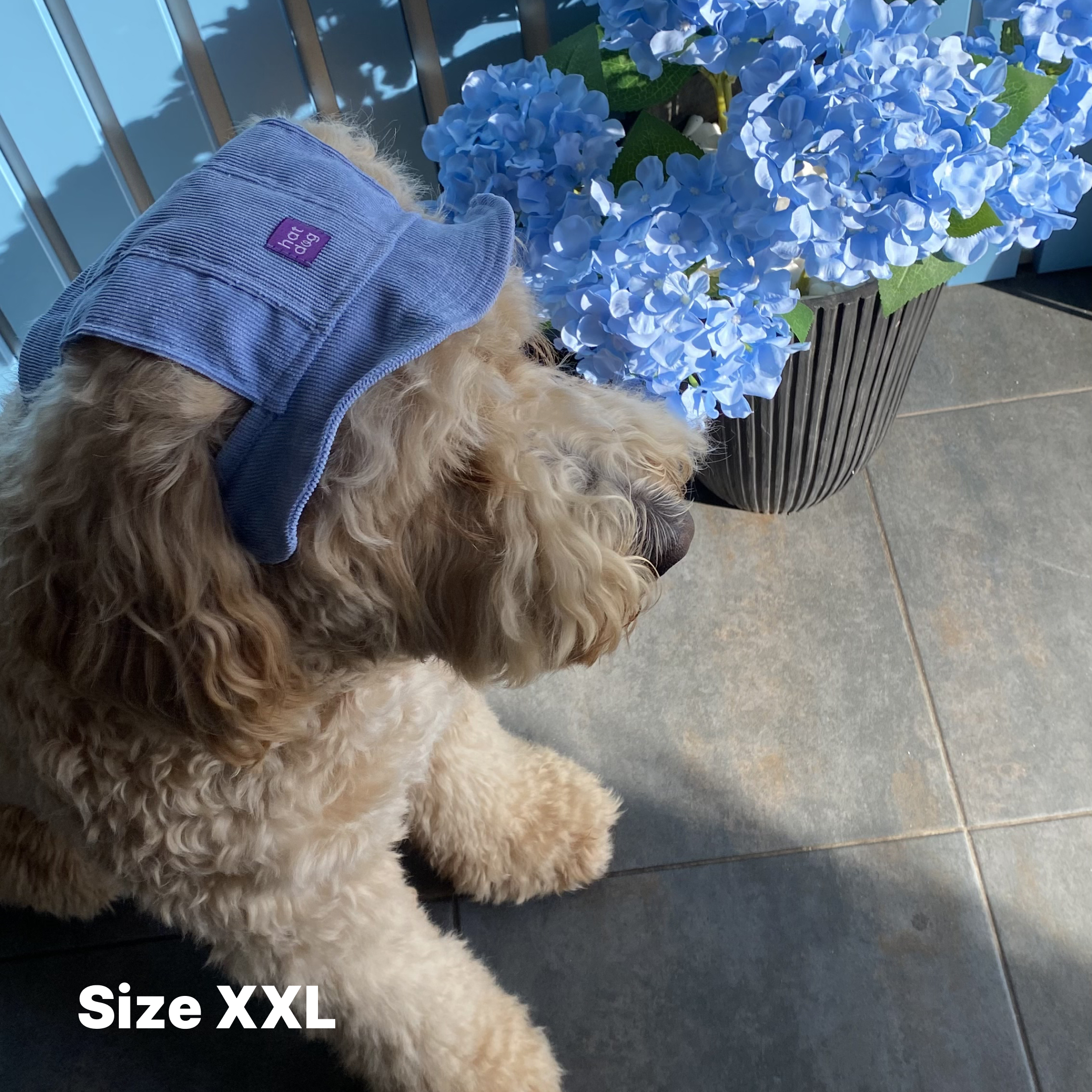 Панама для собак Hat-Dog Блакитна