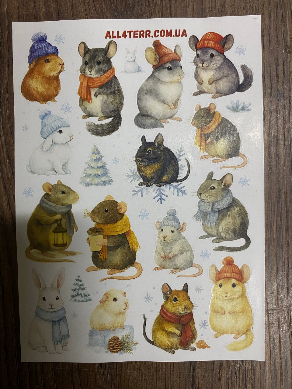 Стікерпак "Зимовий"