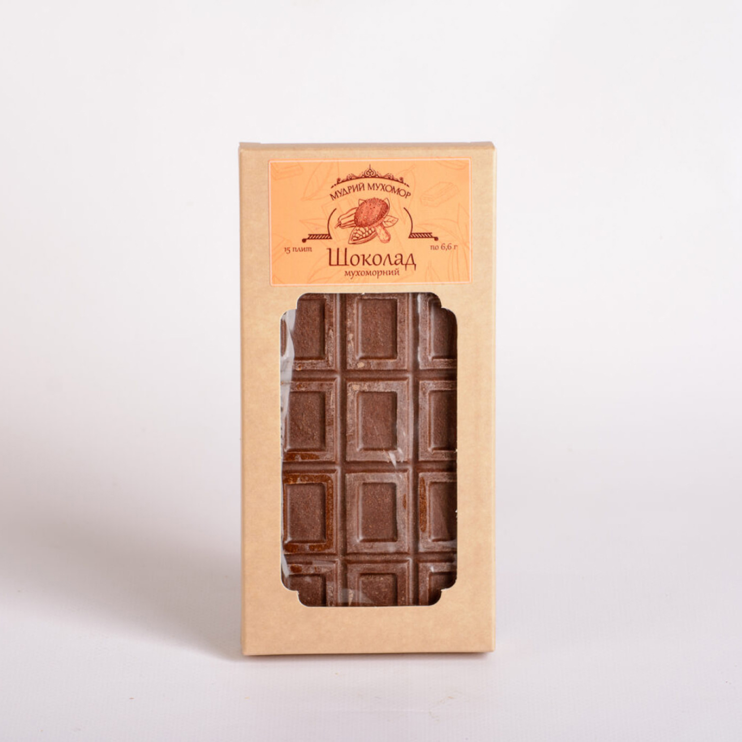 Грибний шоколад