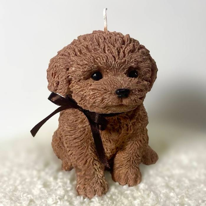 Пес Той-пудель L