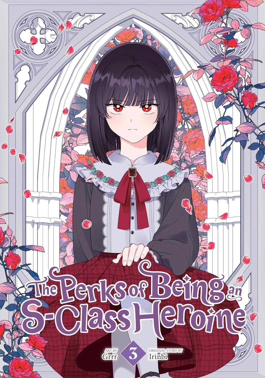The Perks of Being an S-Class Heroine Vol. 3 (PERKS OF BEING AN S CLASS HEROINE GN) Irinbi
