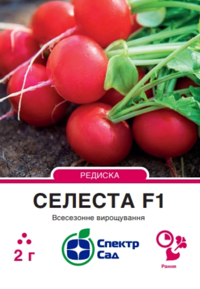 Редиска Селеста F1, 2 г
