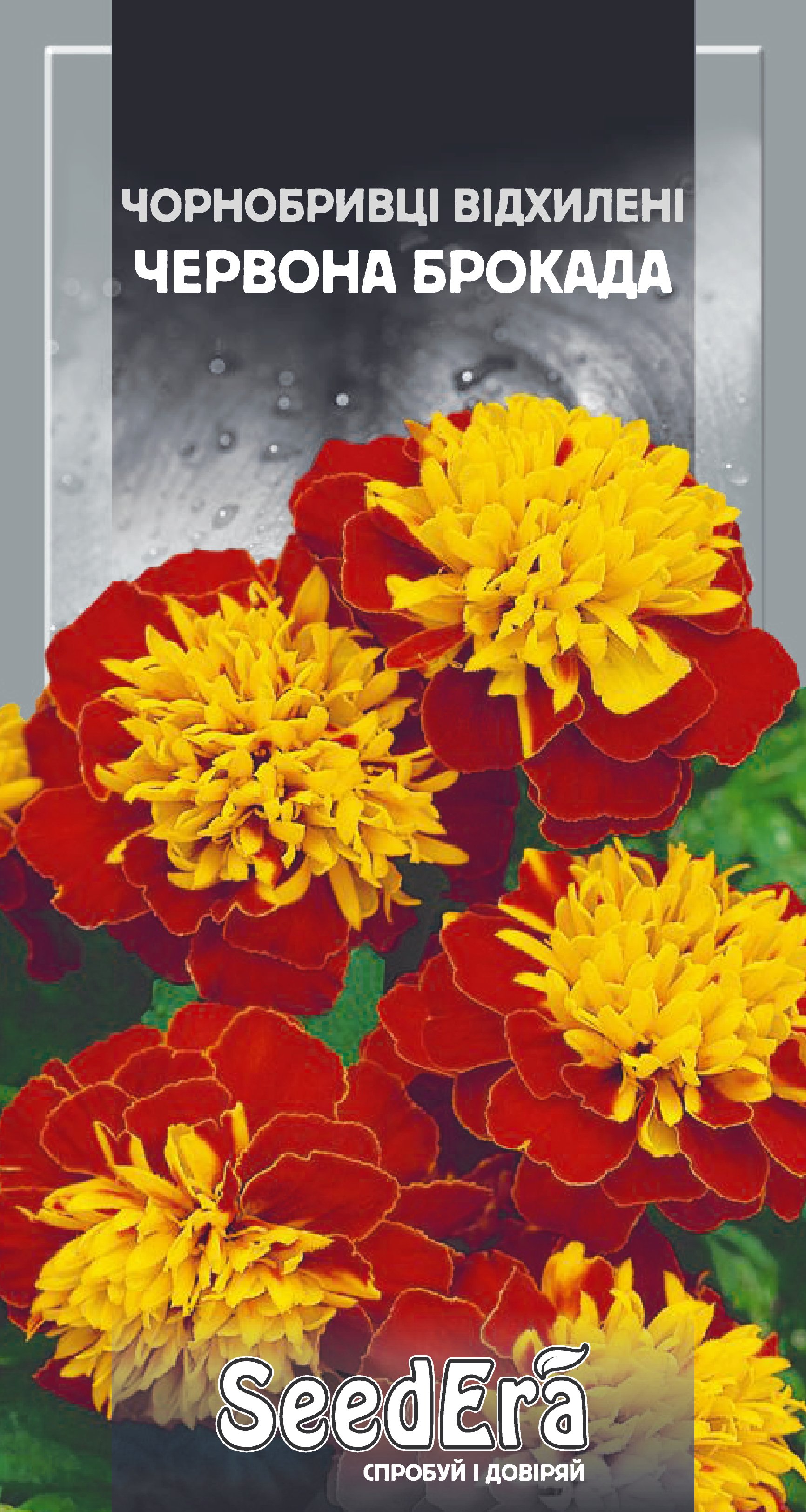 Насіння Квіти Чорнобривці низькоросла відхил. Червона Брокада, 0,5 г