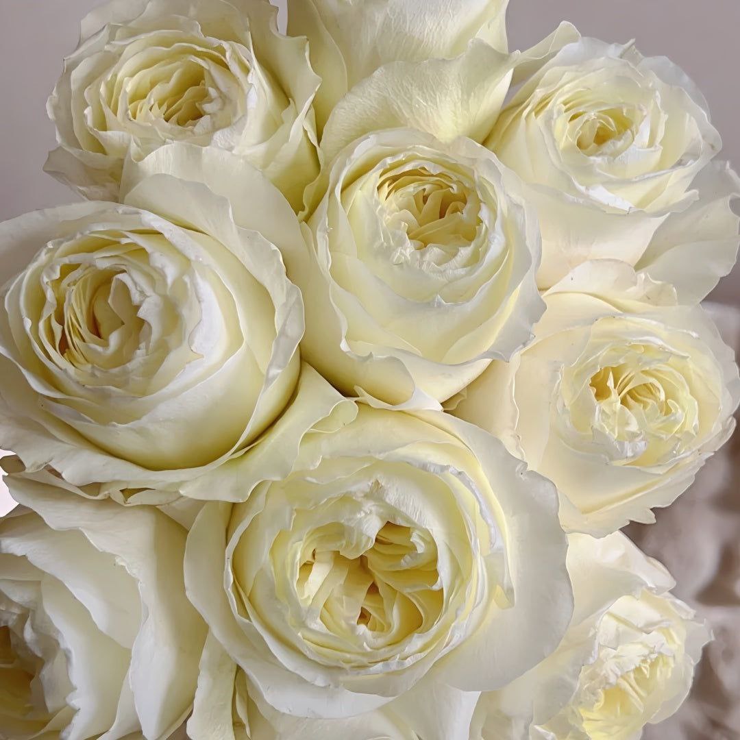 Колдплей (Coldplay)