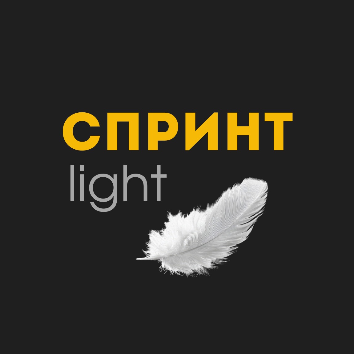 "Спринт Light"