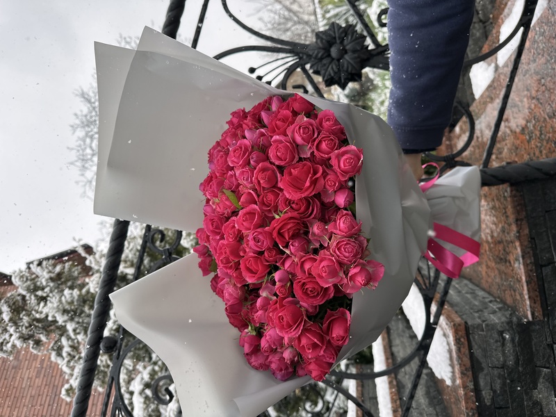 41 гілкова троянда "Ред Алексін"