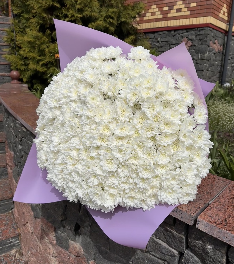 Великий букет з 51 білох хризантеми Балтика