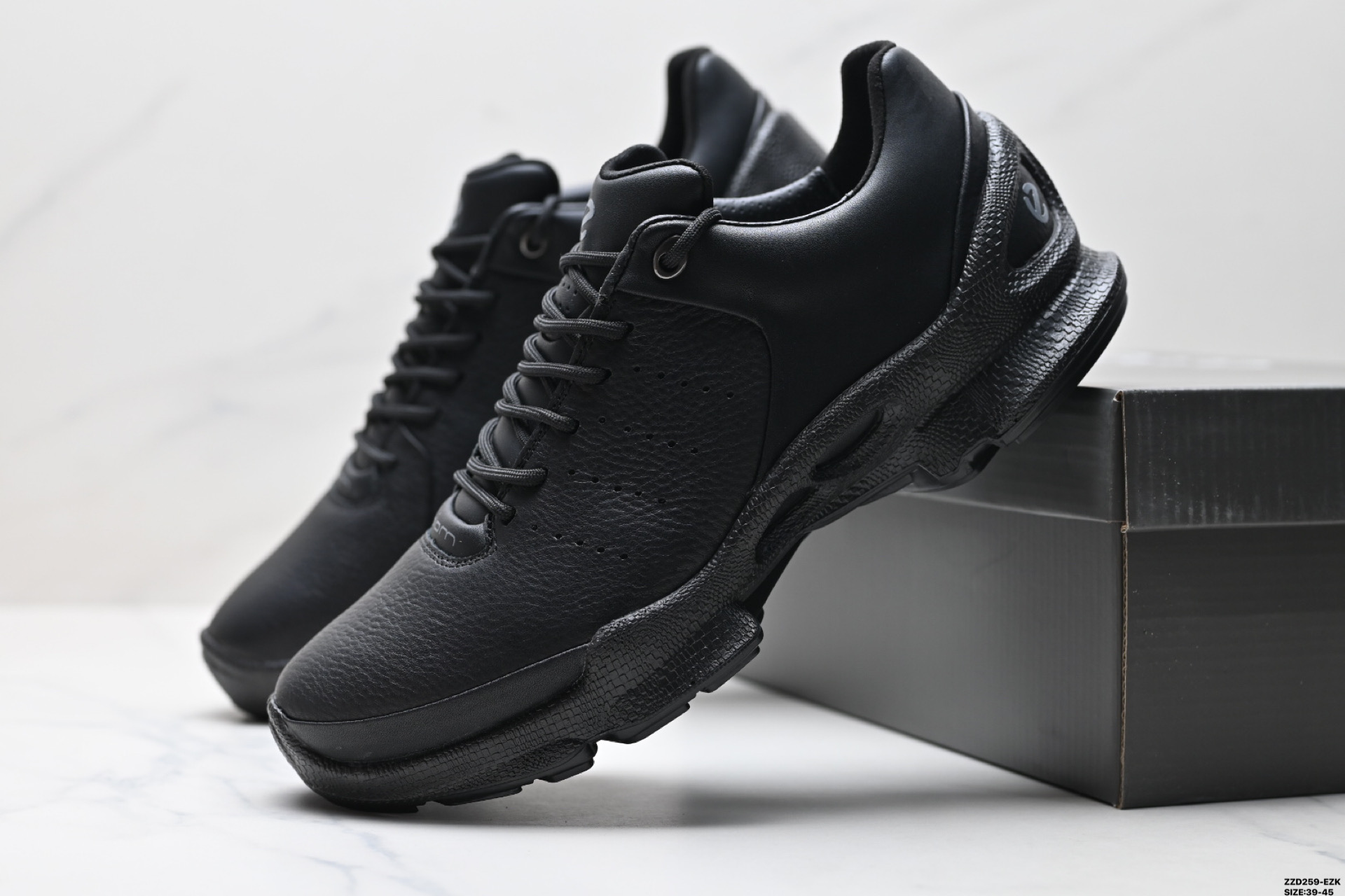 ECCO  Biom C M