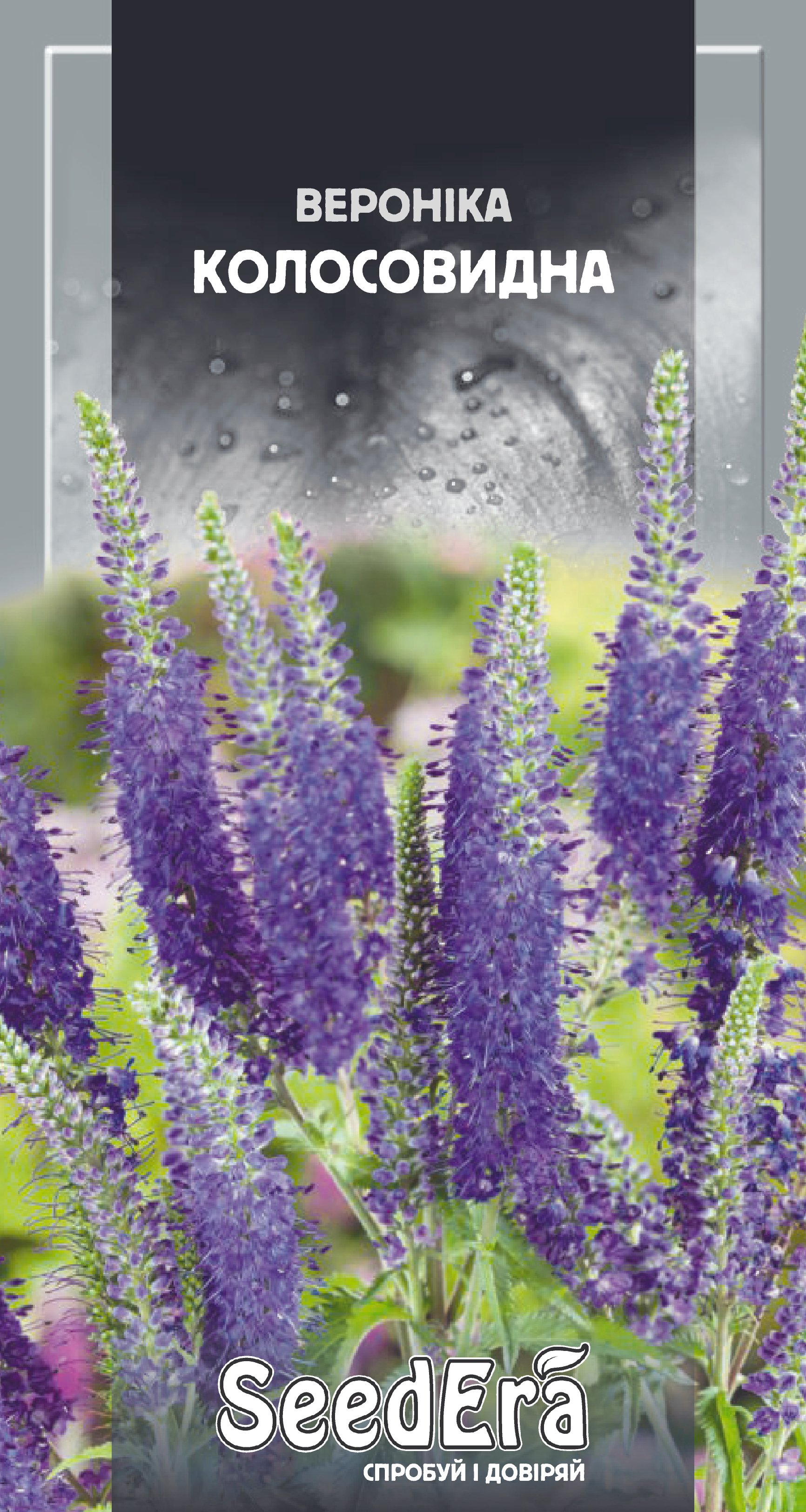 TM "Seedera" Насіння Квіти Вероніка колосовидна багаторіч, 0,1 г