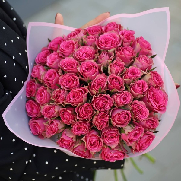 Шиарі — Shiary