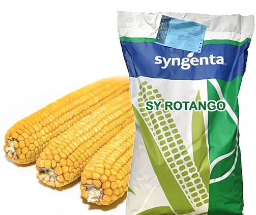 Насіння кукурудзи СИ Імпульс Syngenta Кукурудза високої врожайності та стресостійкості