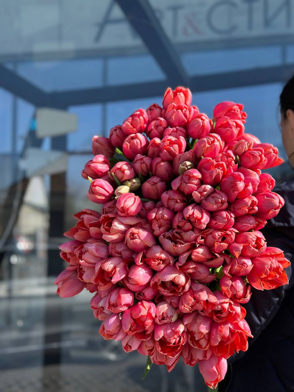 Тюльпан кораловий