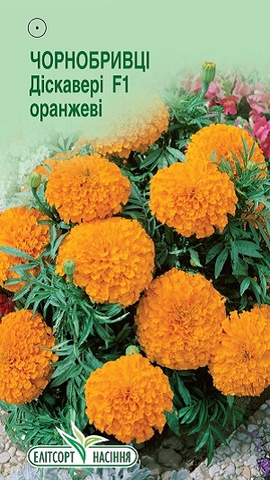 Насіння Квіти Чорнобривці Діскавері оранжеві 5шт