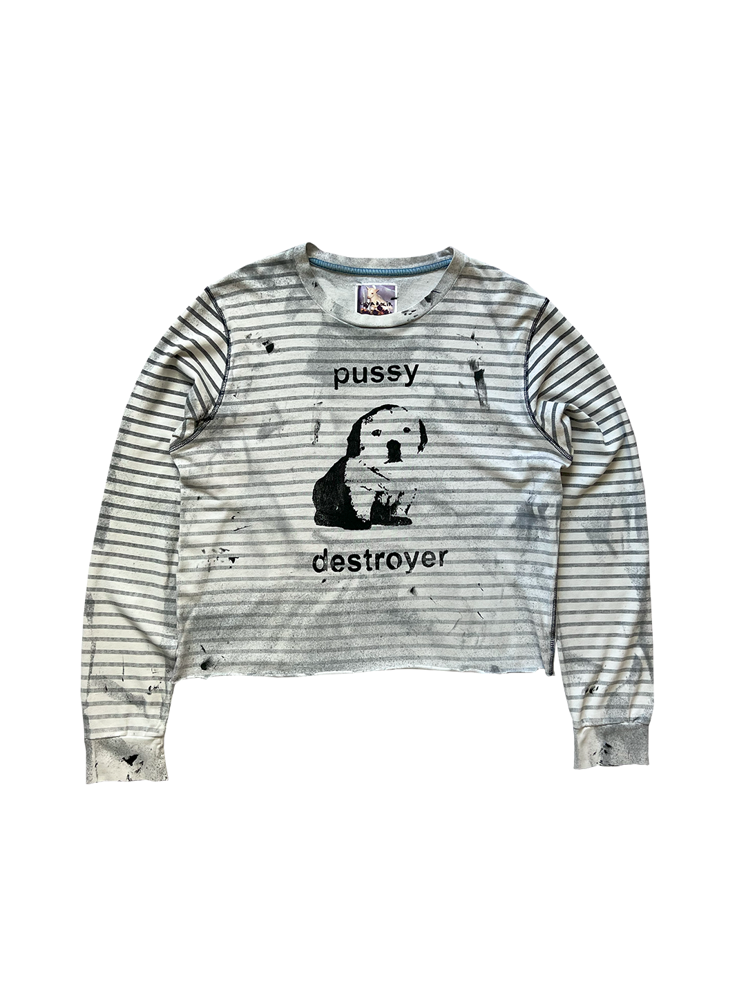 Лонгслів "Pussy destroyer"