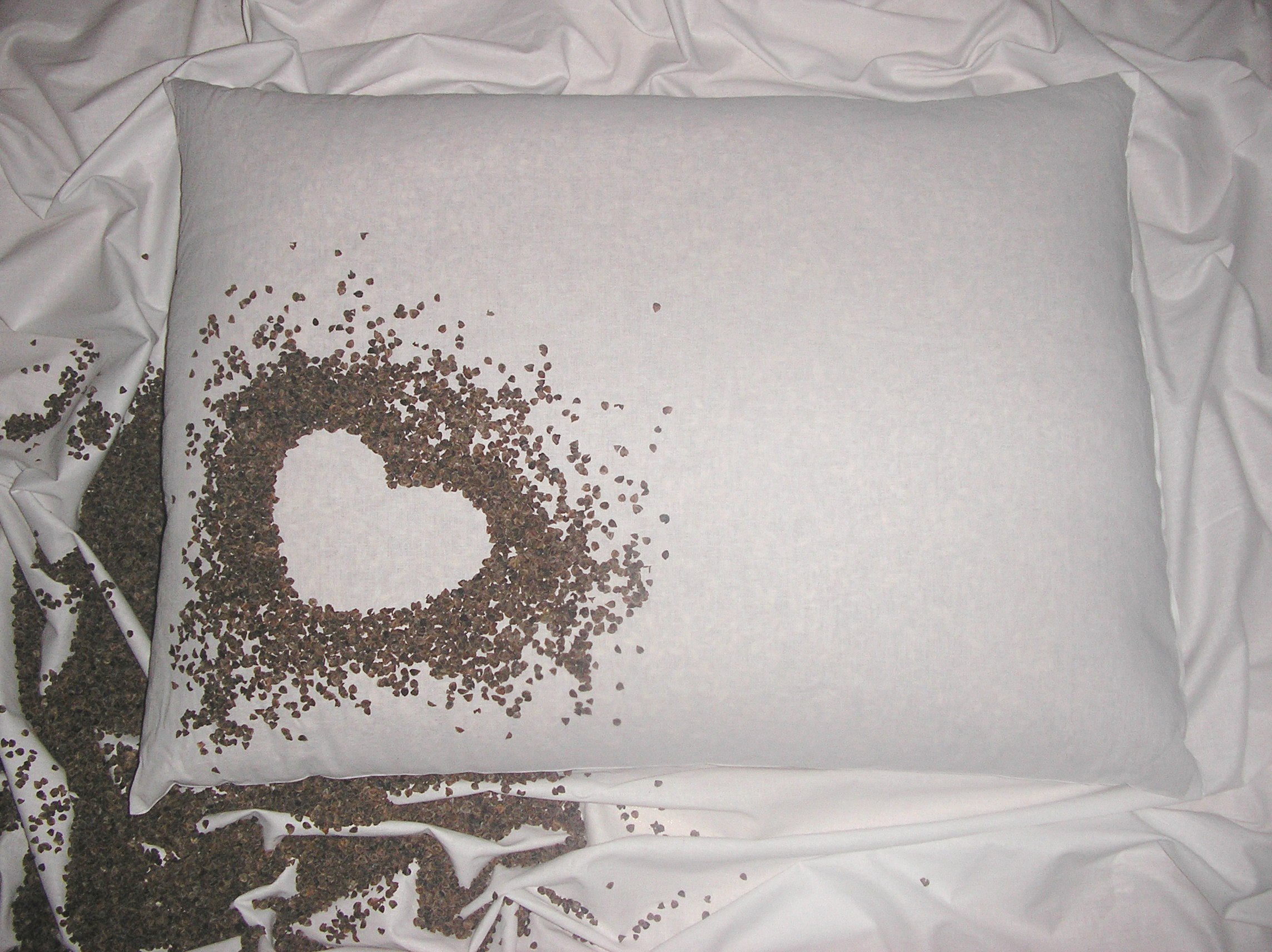 Pohánkový vankúš 50x70 cm