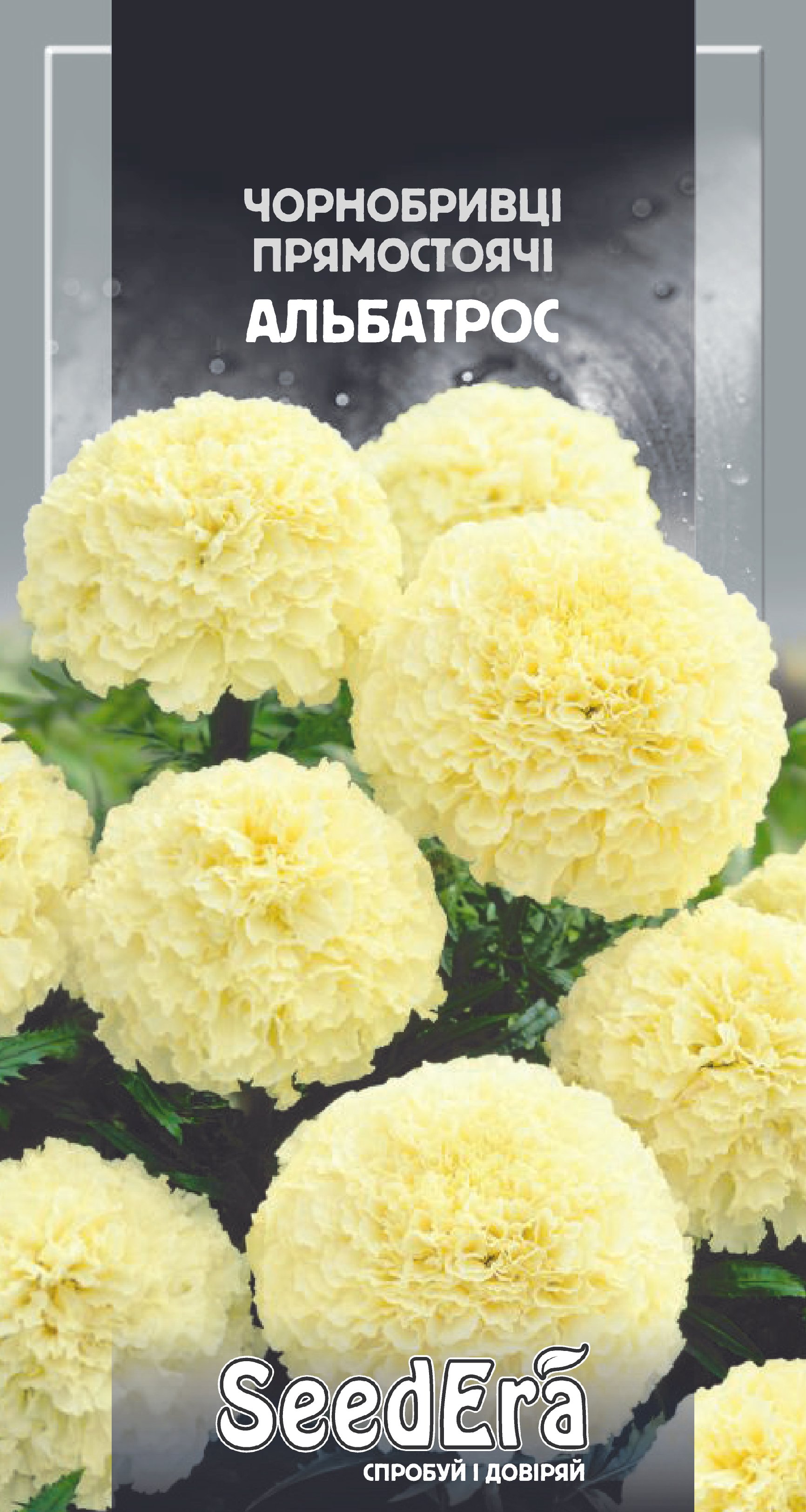 Насіння Квіти Чорнобривці високоросла Альбатрос, 0,1 г