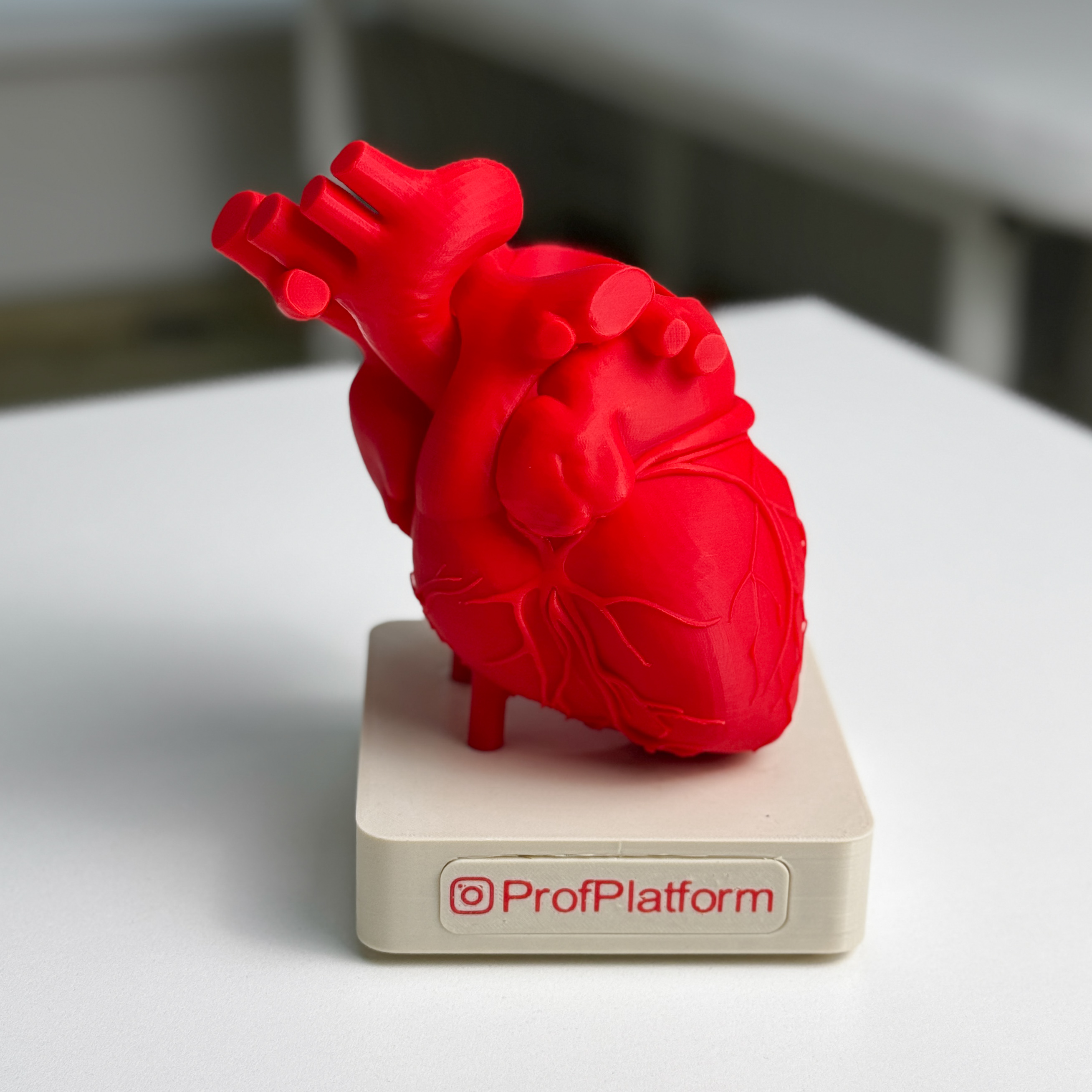 Анатомічна підставка у формі серця