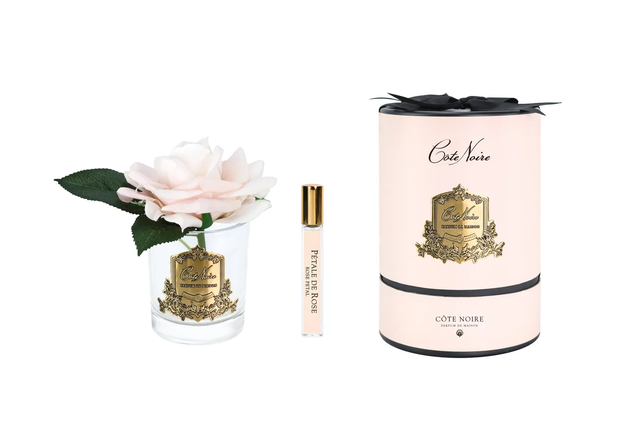 Аромаквіти Cote Noire French Rose Champagne Pink & Clear Glass - ароматична троянда кольору рожевого шампанського у прозорій скляній вазі