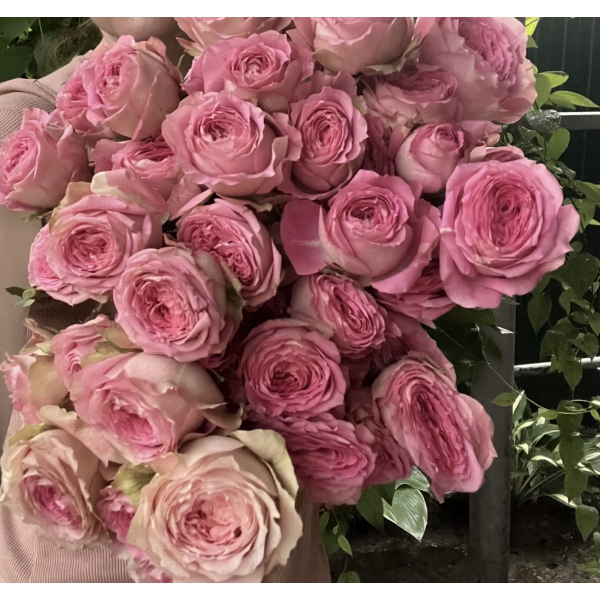 Волкова (спрей) — Volkova