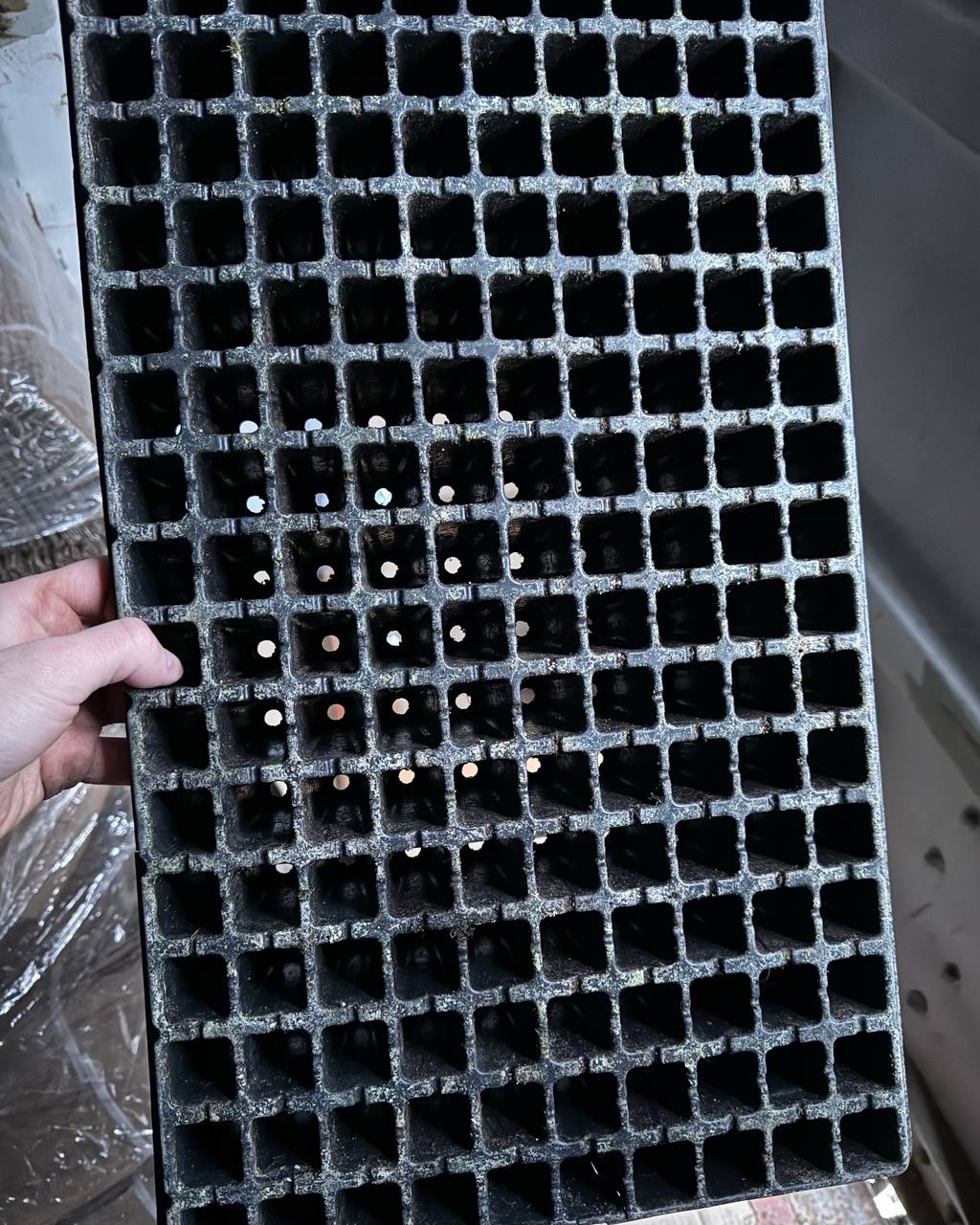 Касети цілі для розсади б/у 160 осередків